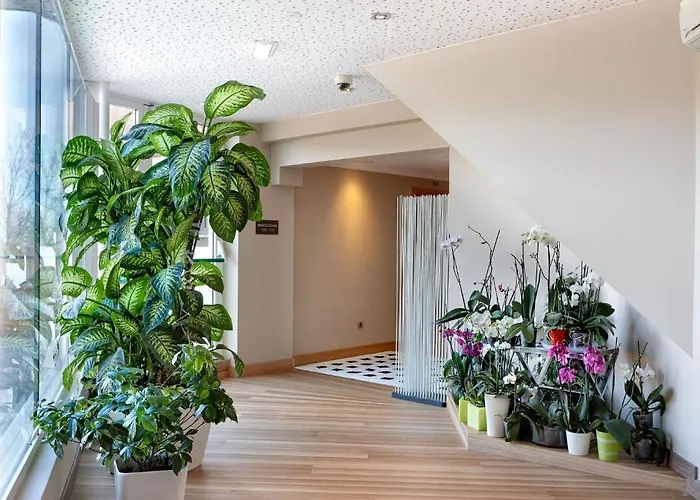 阿塔拉亚酒店 3* 伊伦